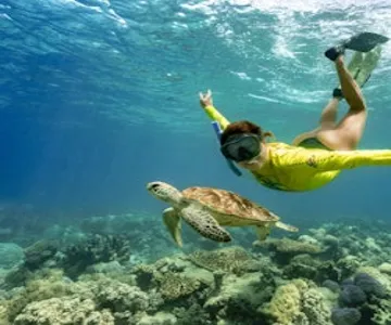 Ocean Safari Great Barrier Reef Tour from Cape Tribulation